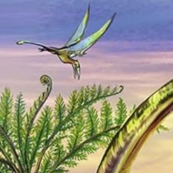 Ravensburger Frame Puzzles - Dinosaurs at Dawn (45 pc Puzzle) New Sealed Age 4+ - Picture 10 of 16